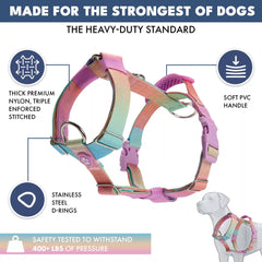 Comfort Control No-Pull Dog Harness Set - Pastel Icing