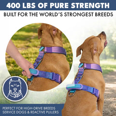 Comfort Control No-Pull Dog Harness - 90s Retro