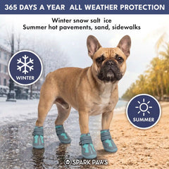 365 All-Season Dog Shoe 4PC Set - Teal