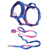 Comfort Control No-Pull Dog Harness and Multipurpose Leash Set - Snow Cone