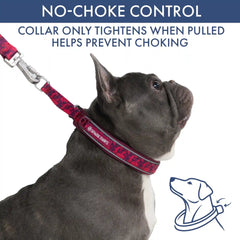 Martingale Collar Set - Fuchsia Camo