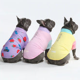 Sunblock Dog T-Shirt (3-pack) - Gelato, Yuzu, Berries