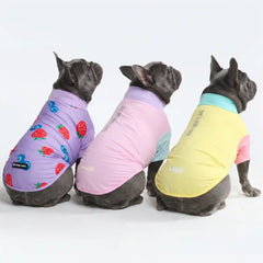 Sunblock Dog T-Shirt (3-pack) - Gelato, Yuzu, Berries