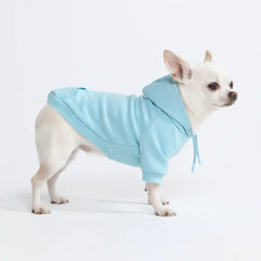 Essential Dog Hoodie - Baby Blue
