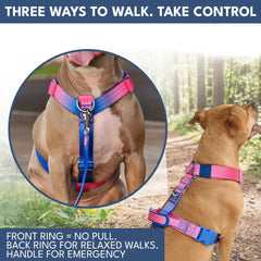 Comfort Control No-Pull Dog Harness and Multipurpose Leash Set - Snow Cone