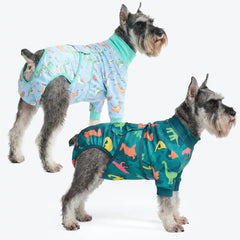 Dog Surgical Suit (2-pack) - Dinosaurs and Dragons