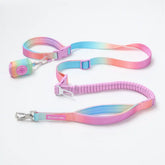 Multipurpose Seatbelt Handsfree Leash & Poop Bag Holder Set - Pastel Icing