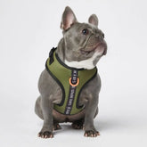 Ultra Soft Activewear Dog Harness - Green