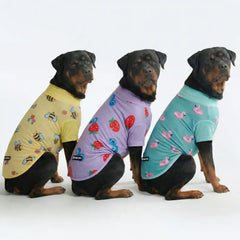 Sunblock Dog T-Shirt (3-pack) - Bees, Flamingo, Berries