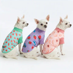 Sunblock Dog T-Shirt (3-pack) - Watermelon, Berries, Peaches