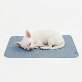 Frostcore™ Cooling Mat - Ash Blue