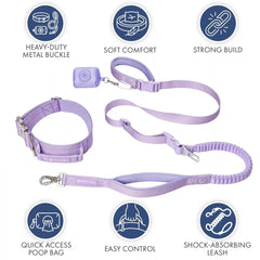 Comfort Control Collar and Multipurpose Leash Set - Lilac