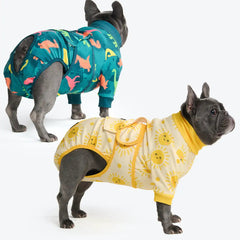 Dog Surgical Suit (2-pack) - Dinosaurs and Sunshine