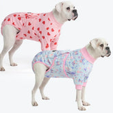 Dog Surgical Suit (2-pack) - Butterfly and Pink Hearts