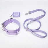Comfort Control Collar Set - Lilac