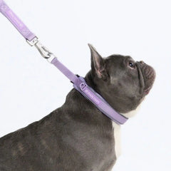 Cushioned Martingale Collar - Lilac