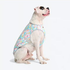 Dog Cooling Vest - Popsicles