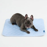 Frostcore™ Cooling Mat