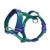 Comfort Control No-Pull Dog Harness - Lime Wave