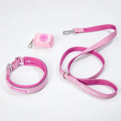 Martingale Collar Set - Pink