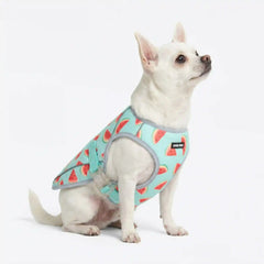 Dog Cooling Vest - Watermelon