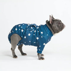 Dog Surgical Suit - Stars