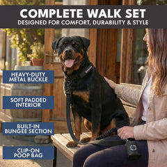 Comfort Control Collar and Multipurpose Leash Set - Black