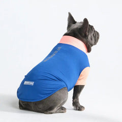 Sunblock Dog T-Shirt - Blue Hawaiian