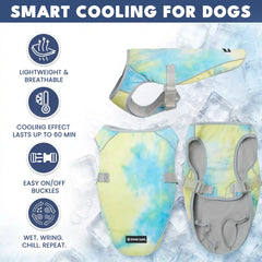 Dog Cooling Vest (2-pack) - Snow Cone & Tropical Storm