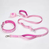Martingale Collar and Multipurpose Leash Set - Pink