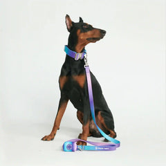 Leash and Poop Bag Holder Set