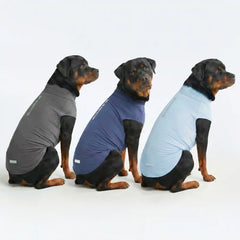 Sunblock Dog T-Shirt (3-pack) - Navy Blue, Dark Grey, Blue