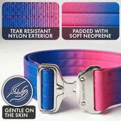Comfort Control Collar - Snow Cone