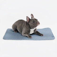 Frostcore™ Cooling Mat - Ash Blue (2)