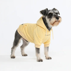 Essential Dog Hoodie - Buttercream