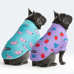 Sunblock Dog T-Shirt (2-pack) - Berries Flamingo