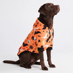 Halloween Dog Hoodie - Orange