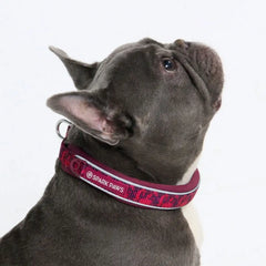 Cushioned Martingale Collar - Fuchsia Camo