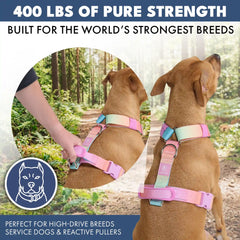 Comfort Control No-Pull Dog Harness - Pastel Icing