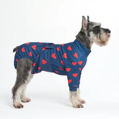 Dog Surgical Suit - Hearts