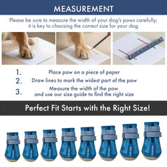 365 All-Season Dog Shoe 4PC Set - Blue