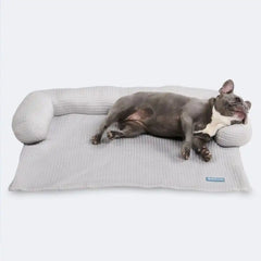 Frostcore™ Cooling Couch Cover Dog Bed