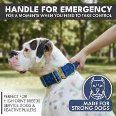 Comfort Control Collar Set - Blue Camo