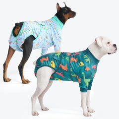 Dog Surgical Suit (2-pack) - Dinosaurs and Dragons