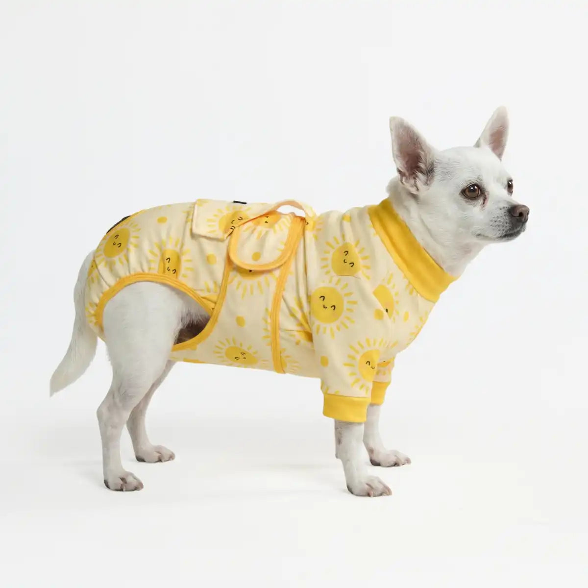 Dog Surgical Suit - Sunshine