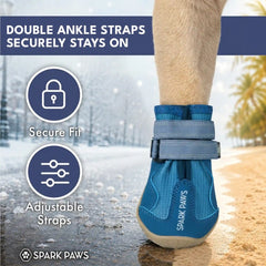 365 All-Season Dog Shoe 4PC Set - Blue