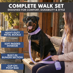 Comfort Control Collar and Multipurpose Leash Set - Lilac