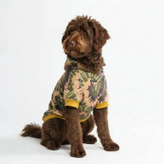 Everglade Skydye Dog Hoodie