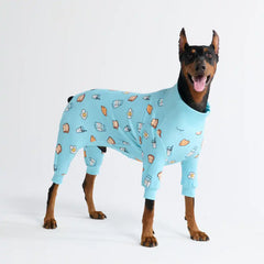 Dog Pajama Prints