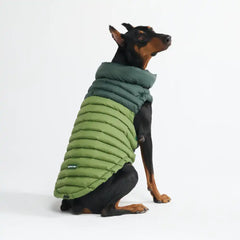 PuffShield Winter Jacket - Green
